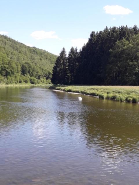 Vieux Logis Een Prachtige Ardeense Vakantiewoning Vresse-sur-Semois Exteriér fotografie